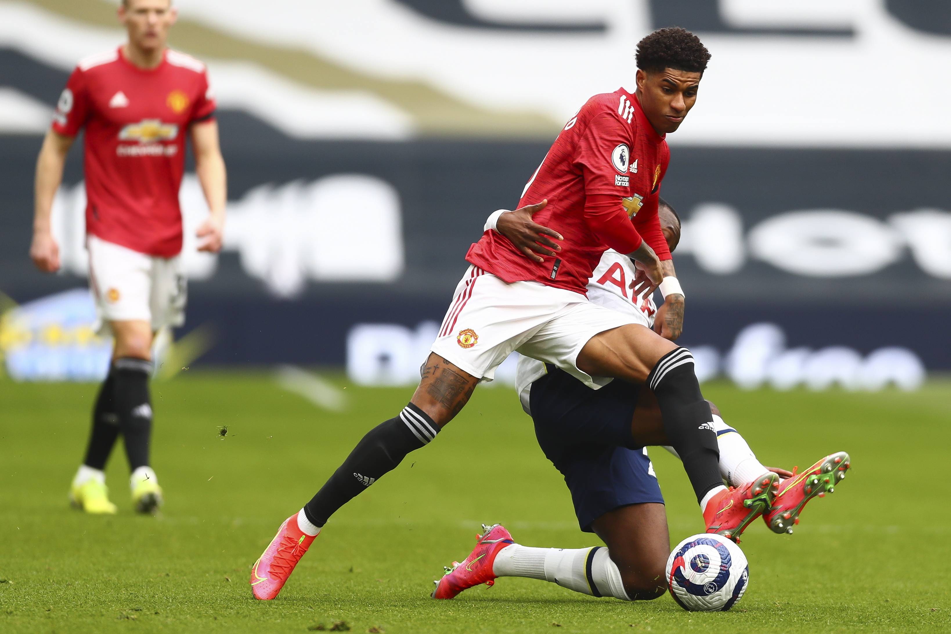 人的回归 人的回归